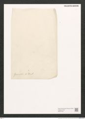 Amphora grunowii A. Schm. (de-Toni-Nr.: Genus 36) Zeichnungen Sammlung Grunow (NHMW-BOT-W0370722)